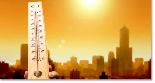 Public And Profits At Risk From Heatwaves And Underprepared Businesses