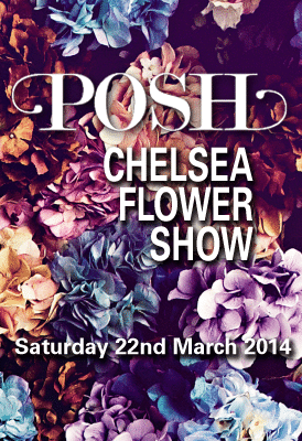 The POSH Auction – Cancer Council NSW