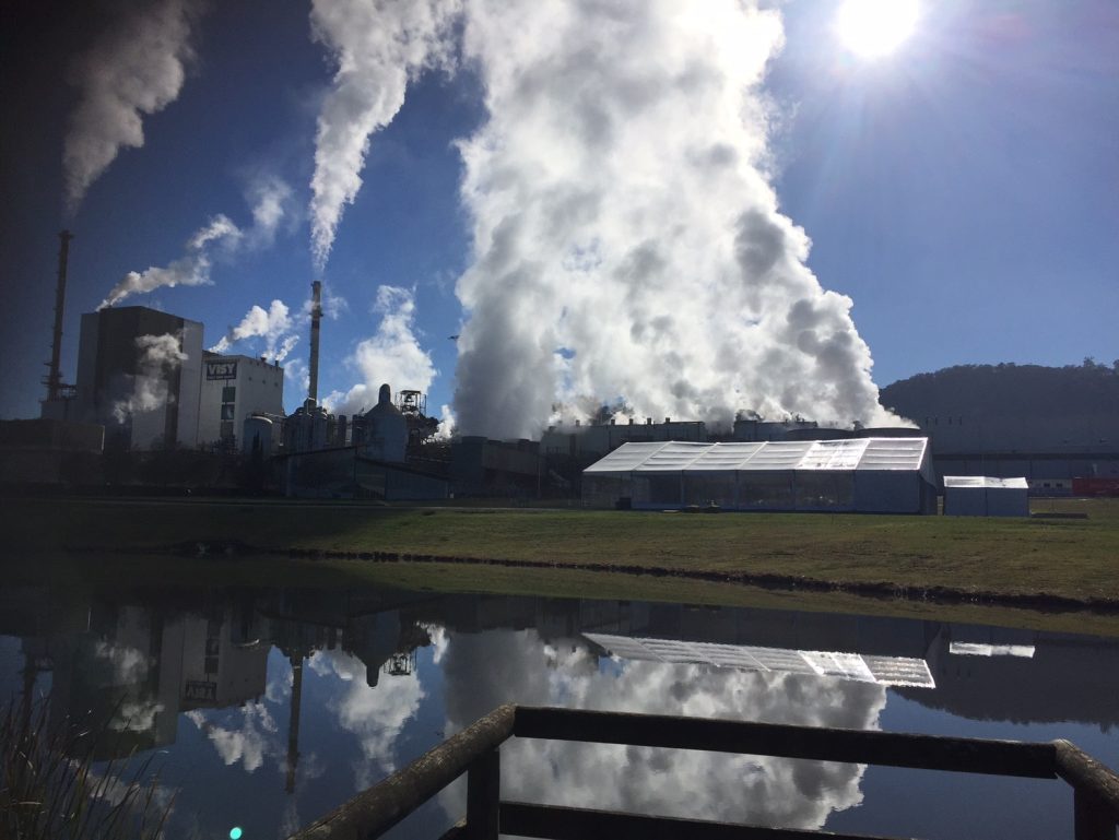 Visy's Stage 3 Processing Plant Launch
