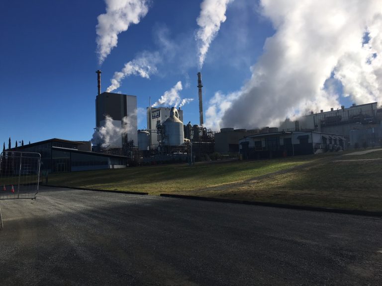 Visy's Stage 3 Processing Plant Launch