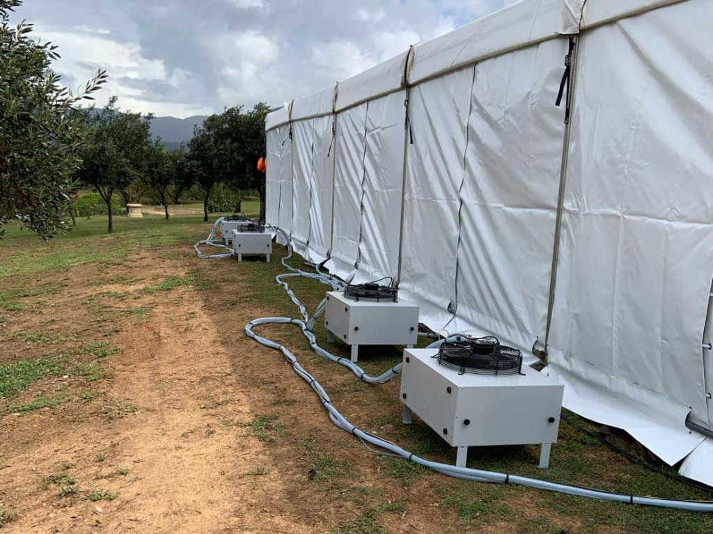 Wedding Marquee