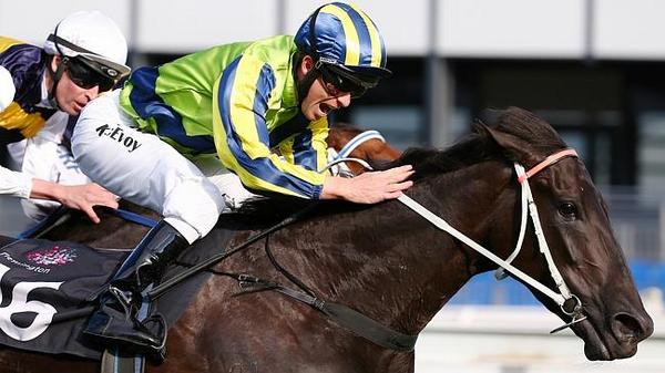 Thrills and Chills At The Caulfield Cup